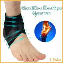 [20240930144803] CHEV ELASTIQUE TM