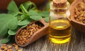 [6191450600910] HUILE DE FENUGREC