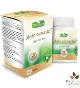 [20231107164532] THERAPIA PHYTO CONCEALER