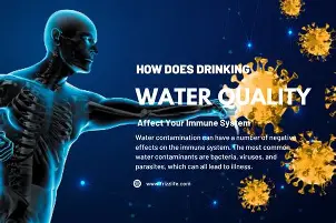 [20240817154648] WATER IMMUNITY